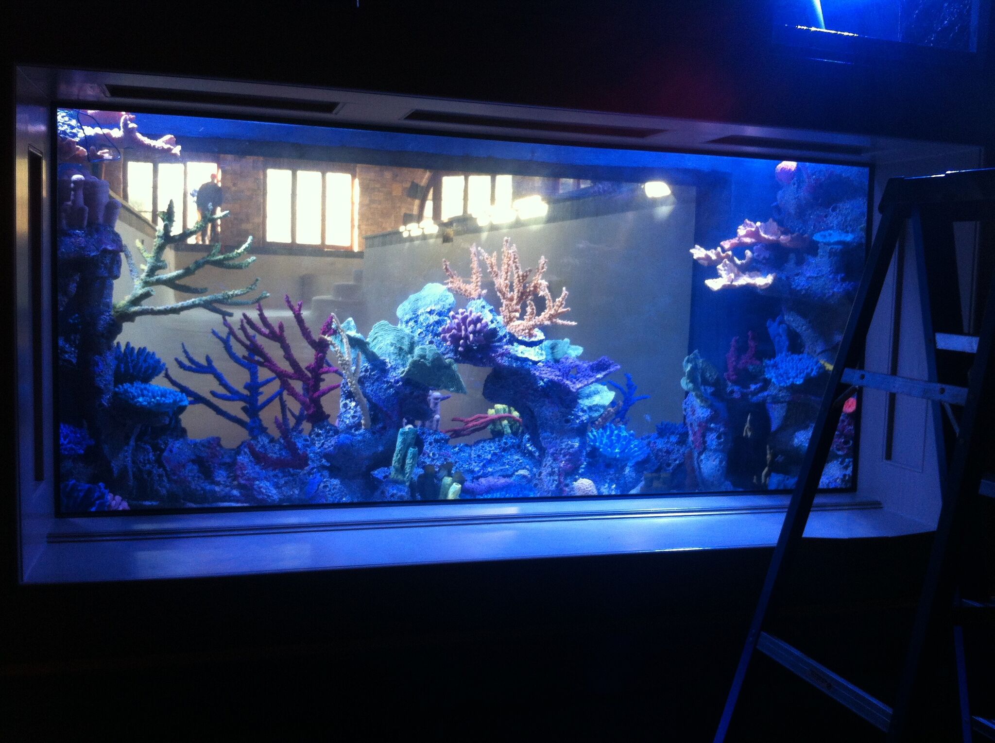 Check Out Our Work Clear Water Aquariums